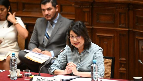 Ana Gervasi se presentó ante la Comisión de Relaciones Exteriores del Congreso. (Cancillería)