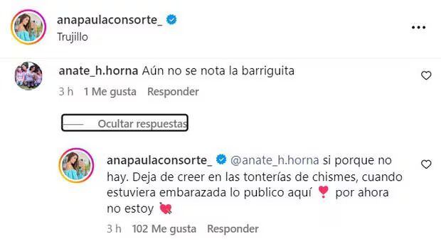 Ana Paula Consorte niega embarazo. (Captura: Instagram)