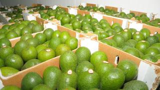 Perú y Chile firman acuerdo para el ingreso de palta y manzana