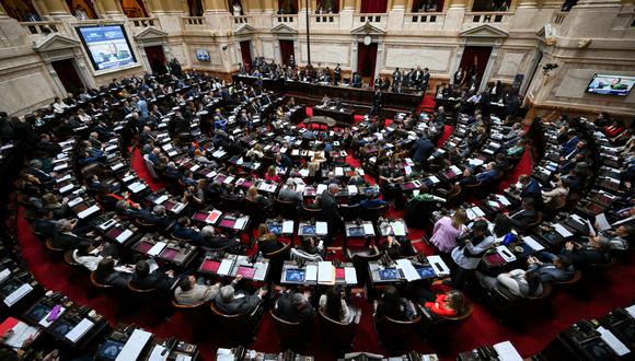 Cámara de Diputados sesionó durante más de 20 horas para debatir la Ley Ómnibus presentada por el presidente Javier Milei. (Foto de LUIS ROBAYO / AFP).