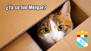 Con memes de gatos se burlan cruelmente de la derrota de Sporting Cristal ante Melgar