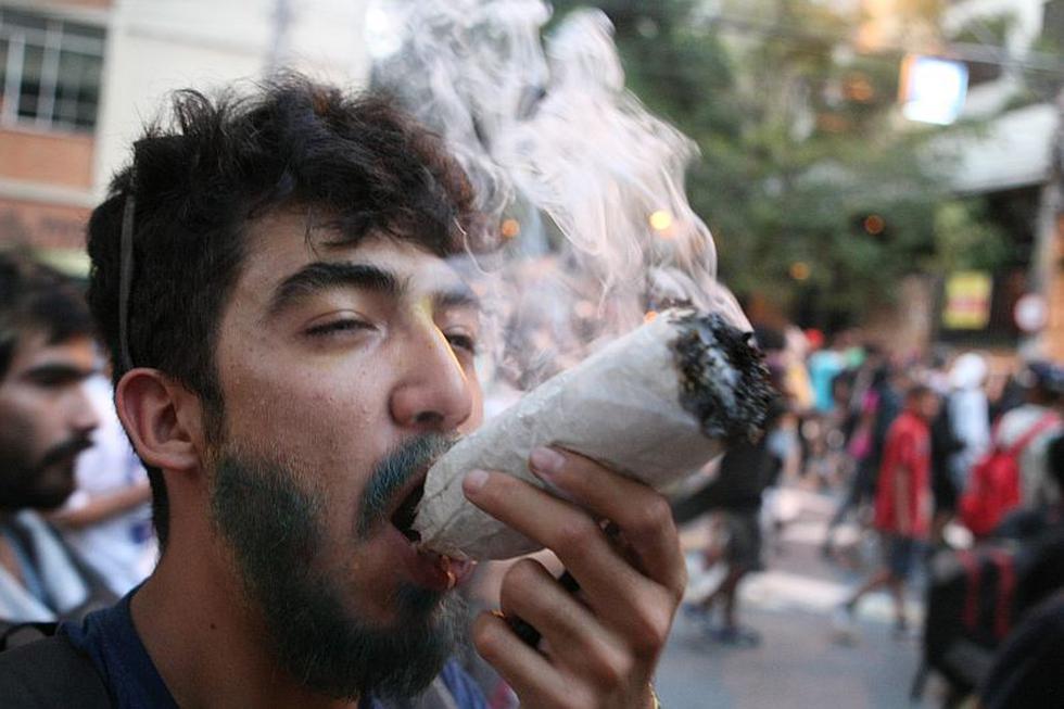 Miles de personas marcharon a favor de la legalización de la marihuana. (EFE)