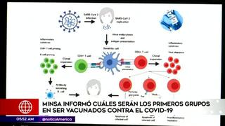 Minsa: estos serán los primeros grupos en ser vacunados contra la COVID-19