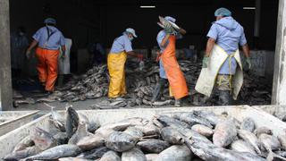 Unos 60 mil trabajadores de la industria pesquera perderían sus empleos si gravan más impuestos, según gremio