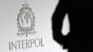 Interpol: ¿qué es y cómo funciona?