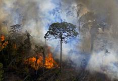 Bolsonaro tilda de “fastidio” noticias que alertan sobre la Amazonía