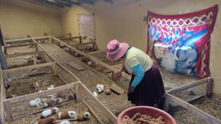 Cusco: Midis promueve emprendimientos a mujeres cusqueñas en Tambo Ashanaku