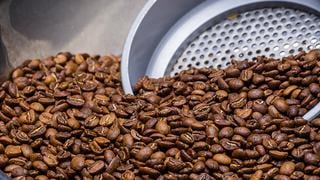 "Jaén es la nueva Colombia en materia de producción y calidad de café peruano"
