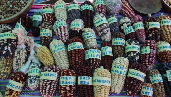 En Laria se cultivan  más de 355 variedades de papa, más de 50 variedades de maíz, más de 45 variedades de raíces y tuberosas andinas.