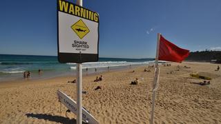 Surfer australiano salva a su esposa de las fauces de un tiburón a golpes