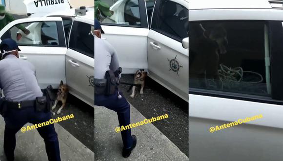 Un video viral muestra cómo un perro fue "detenido" por casi un pelotón policial. | Crédito: Antena Cubana / Facebook.