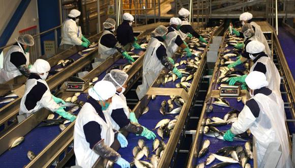 La industria de productos pesqueros creció 152.8%. (Foto: Andina)