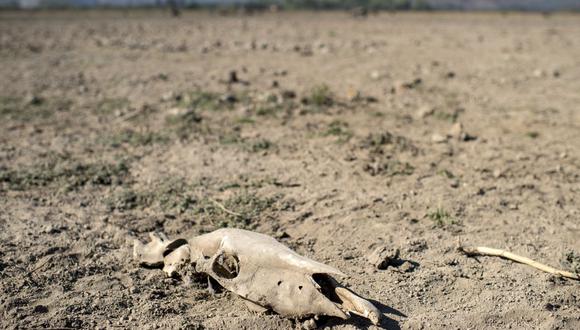 Chile enfrenta actualmente una sequía que se prolonga desde hace 10 años. (Foto referencial: AFP)