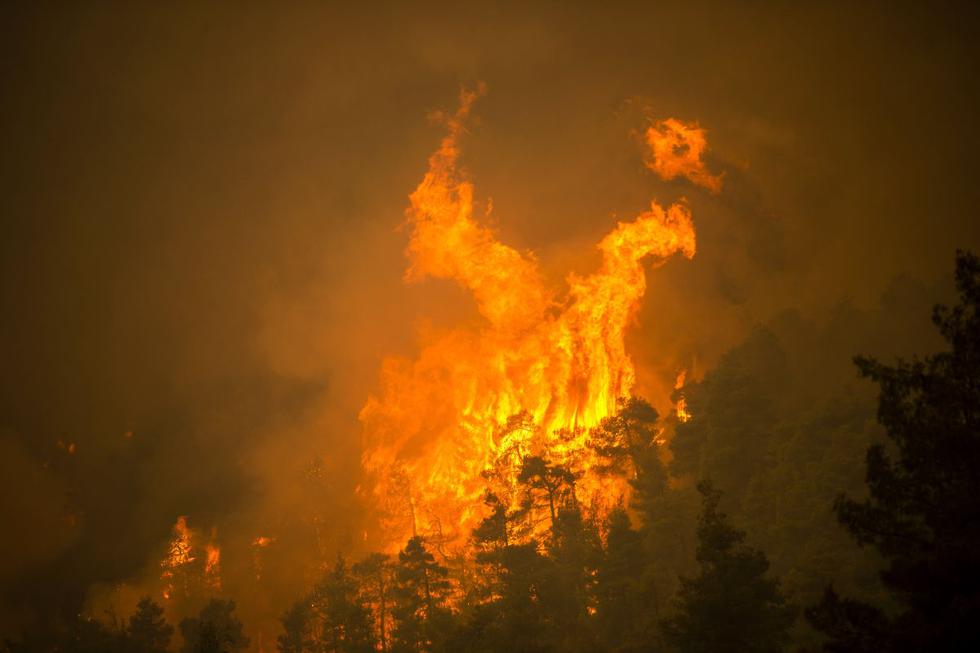 Los incendios que arrasaron más de 100.000 hectáreas en Grecia desde finales de julio están bajo control, garantizó el viernes a la AFP un portavoz de los bomberos. (Texto y foto: AFP)