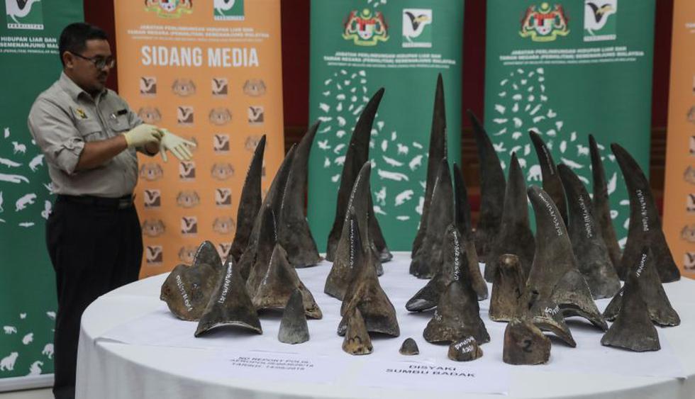 El comercio de cuernos de rinocerontes a nivel internacional se encuentra prohibido por la ONU desde el año 1997. | Foto: EFE