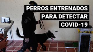 El Salvador: perros policía son entrenados para detectar casos de coronavirus