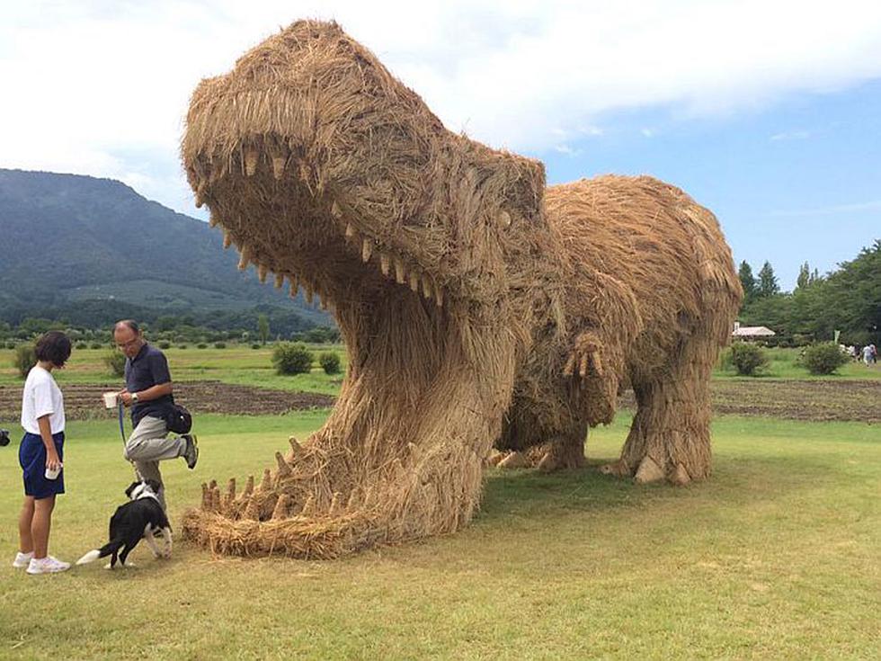Dinosaurios de paja invaden Niigata tras cosecha de arroz en Japón. (Twitter: @amymauscd)