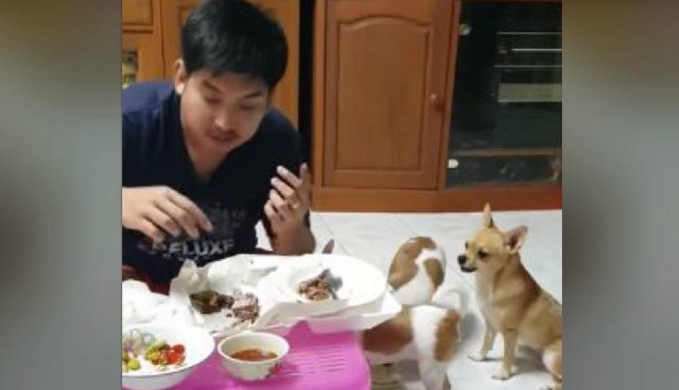El joven se preparaba para comer sentado en el piso de la sala de su casa. (YouTube: ViralHog)