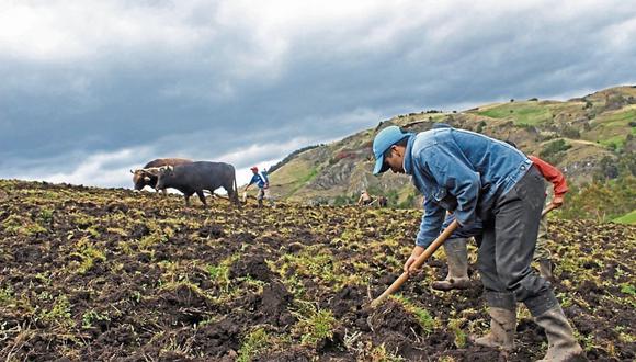 El Fertiabono es una subvención económica que tiene por objetivo ayudar a los productores agrarios ante el alza del precio de los fertilizantes. (Foto: Andina)