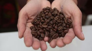 Día del Café Peruano: Conoce cuatro beneficios de este producto nacional