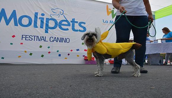 La Molina: Mascotas se lucieron en concurso de disfraces. (Difusión)