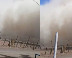 Abridoras Perú21 (4)