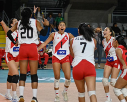 Copa Panamericana de Voley